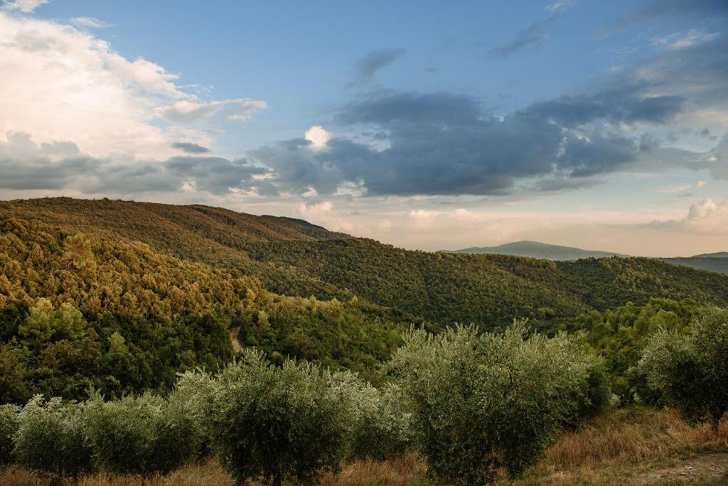 Tenuta Di Forte Sorgnano Gualdo Cattaneo エクステリア 写真