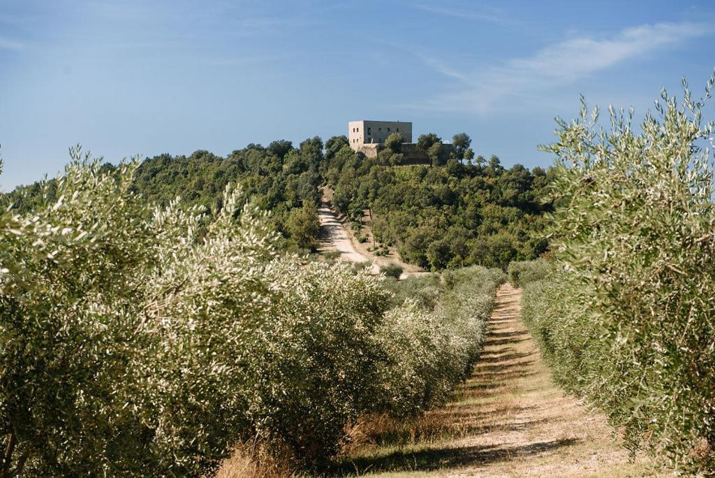 Tenuta Di Forte Sorgnano Gualdo Cattaneo エクステリア 写真