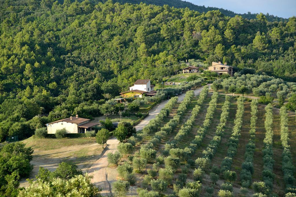 Tenuta Di Forte Sorgnano Gualdo Cattaneo エクステリア 写真